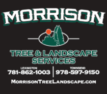 Morrison Tree & Landscape Services